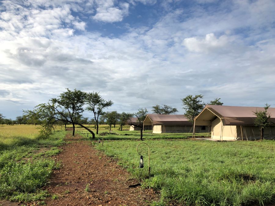לינה בטנזניה, לודג' או מחנה אוהלים בלב הטבע