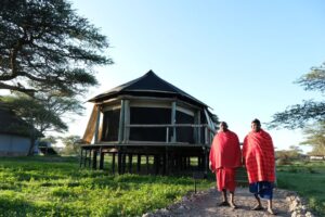 מאסק לודג', מישורי נדוטו סרנגטי. צילום גולן לובנוב