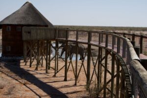 שמורת אטושה בנמיביה שמורת אטושה בנמיביה