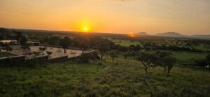 זריחה מעל הסרנגטי, מבט מהחדר בלודג' Orangi