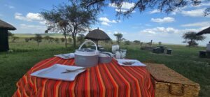 ארוחת צהריים בסוואנה, בלב הסרנגטי