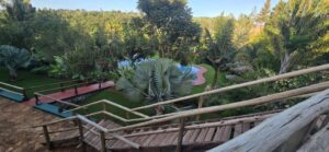 המלצות אישיות על לודג’ים בספארי בטנזניה Ngorongoro Marera Mountain View Lodge