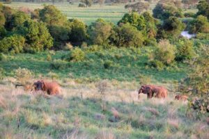 מהמרפסת באורנגי לודג’ | צילום - גולן לובנוב