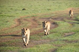 לפעמים כל מה שצריך זה רגע אחד כזה - כדי להבין איפה אתה נמצא | צילום - גולן לובנוב